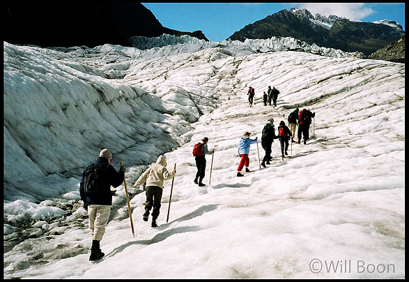 Hiking up Fox Glacier, South Island